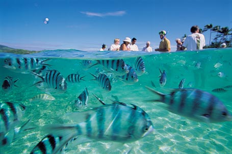 even snorkeling is great too!