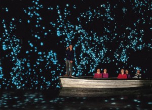 glow-worm-caves